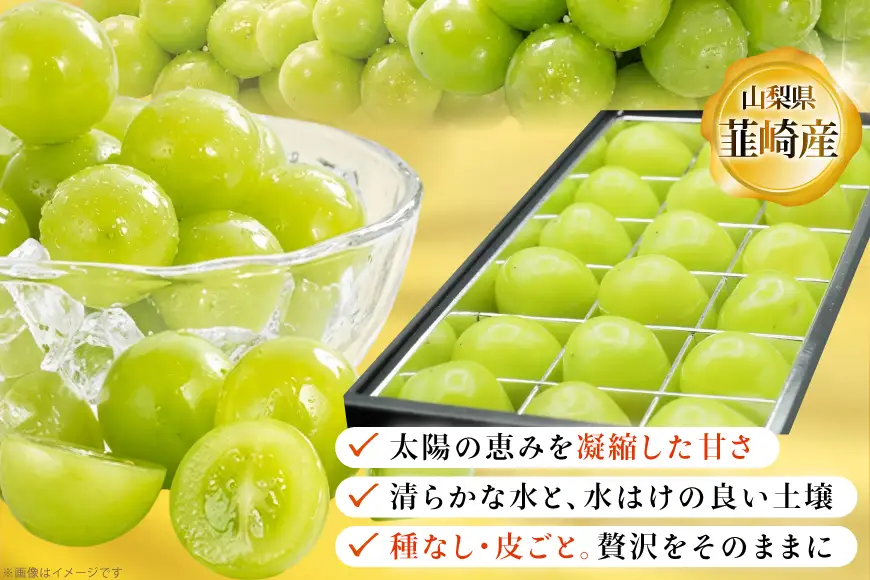 【2026年発送】 シャインマスカット 先行予約 ひと口 BOX 18粒入り 約 200g