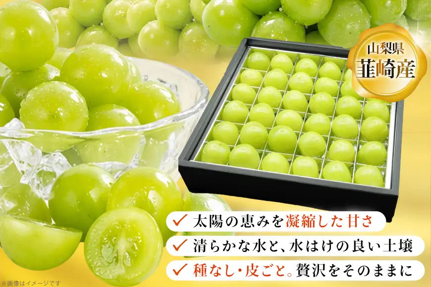 【2026年発送】 シャインマスカット 先行予約 ひと口 BOX 36粒入り 約 400g