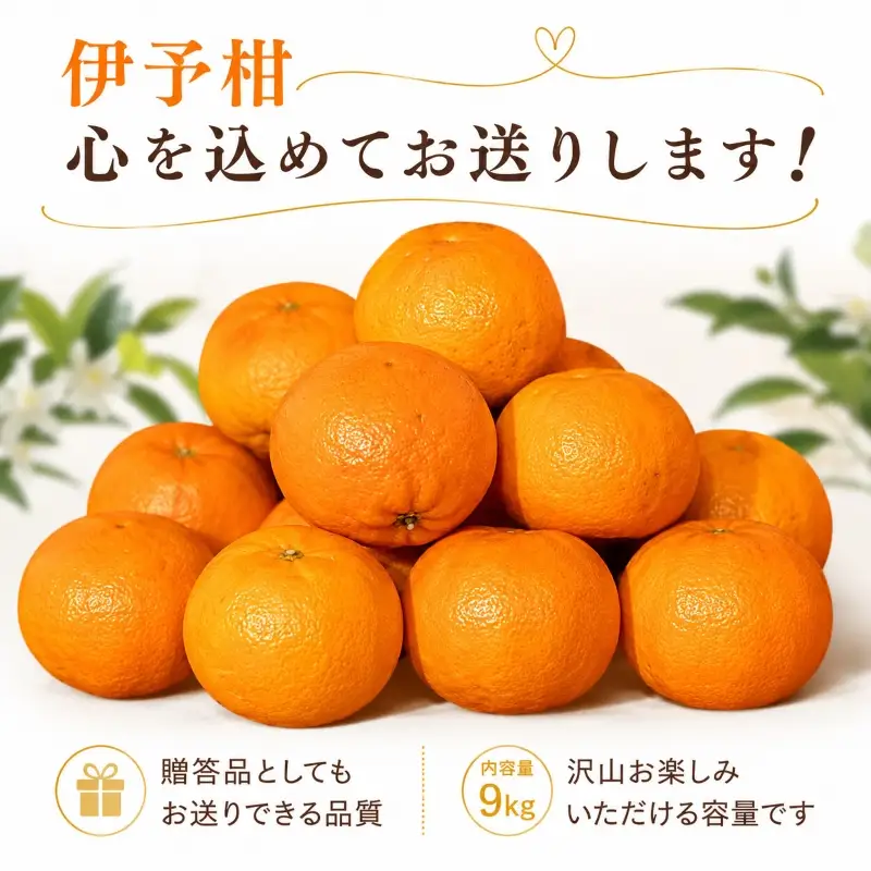【2027年2月上旬より発送】伊予柑 約9.0kg 家庭用 愛媛県産 みかん | いよかん ミカン フルーツ 果物 くだもの 農家直送 愛媛県 松山市産 【YBN004】
