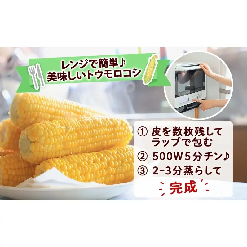 朝もぎ イエロー とうもろこし 恵味 2Lサイズ 13本 約5kg 大きめ 夏野菜 とうきび 旬 新鮮 野菜 トウモロコシ 甘い ギフト 産地直送 コーン 産直 グリーンアースファーム 送料無料 北海道 倶知安町