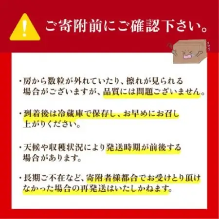 訳あり 巨峰 約2.5kg【2026年発送】茨城県産フルーツ 人気のぶどう【配送不可地域：離島・沖縄県】【1751123】