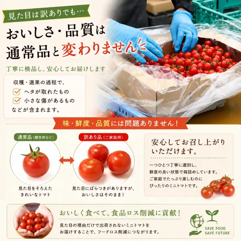 先行予約 ミニトマト 訳あり 3kg ミニトマト