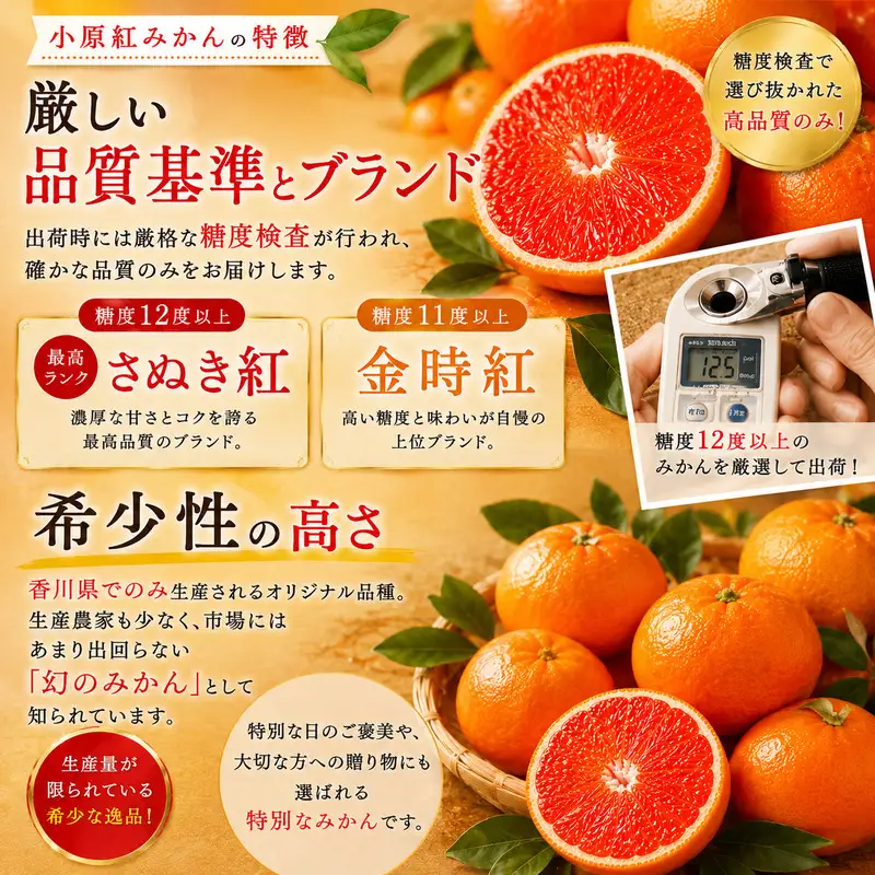 東かがわ市のちょこっと食卓応援品「小原紅みかん 2kg」