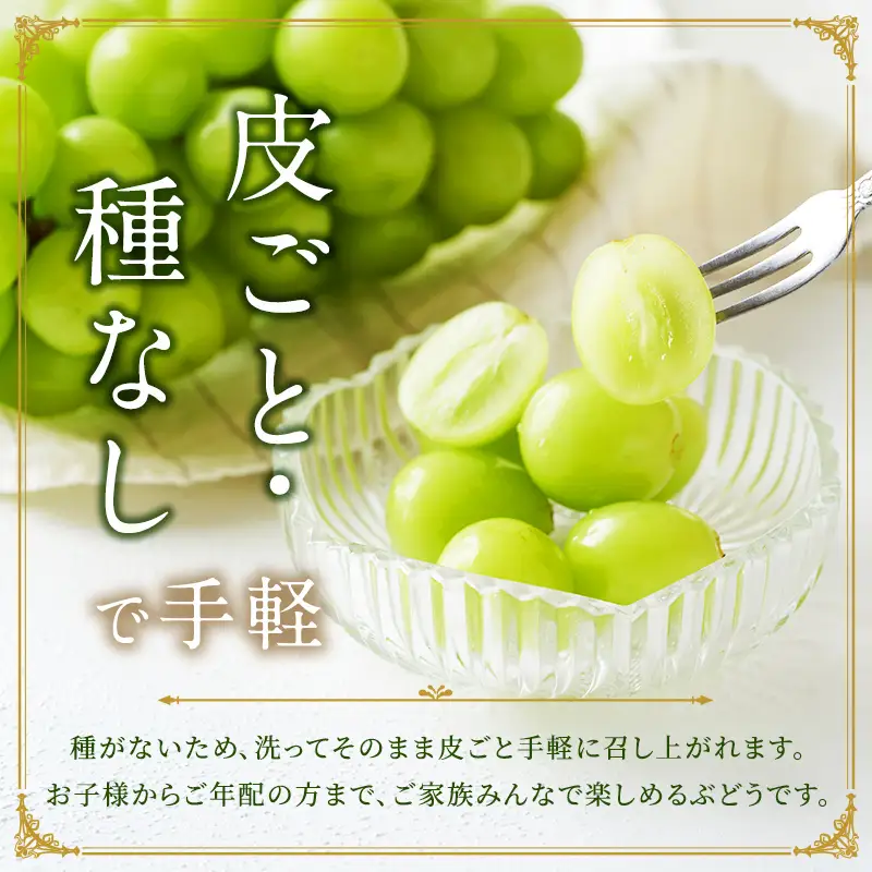 シャインマスカット 訳あり シャインマスカット【1房 約450g】