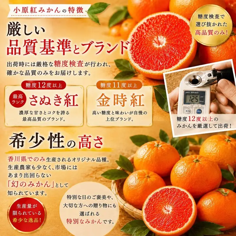 香川讃岐の毎月食べたい定期「小原紅みかん 2kg」2ヶ月定期便