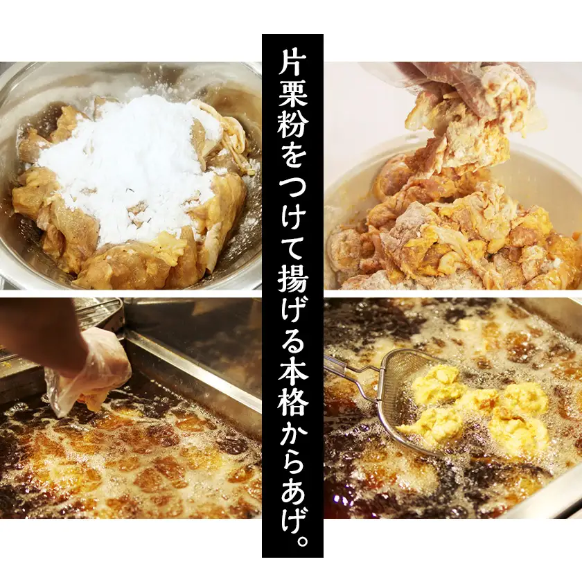 空とぶからあげ(塩にんにく味)　生タイプ1.2kg【配送不可地域：離島】【1742550】