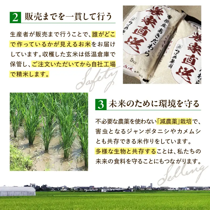 令和7年産 「気和味米」千葉県産コシヒカリ 10kg  (5kg×2袋)  白米 