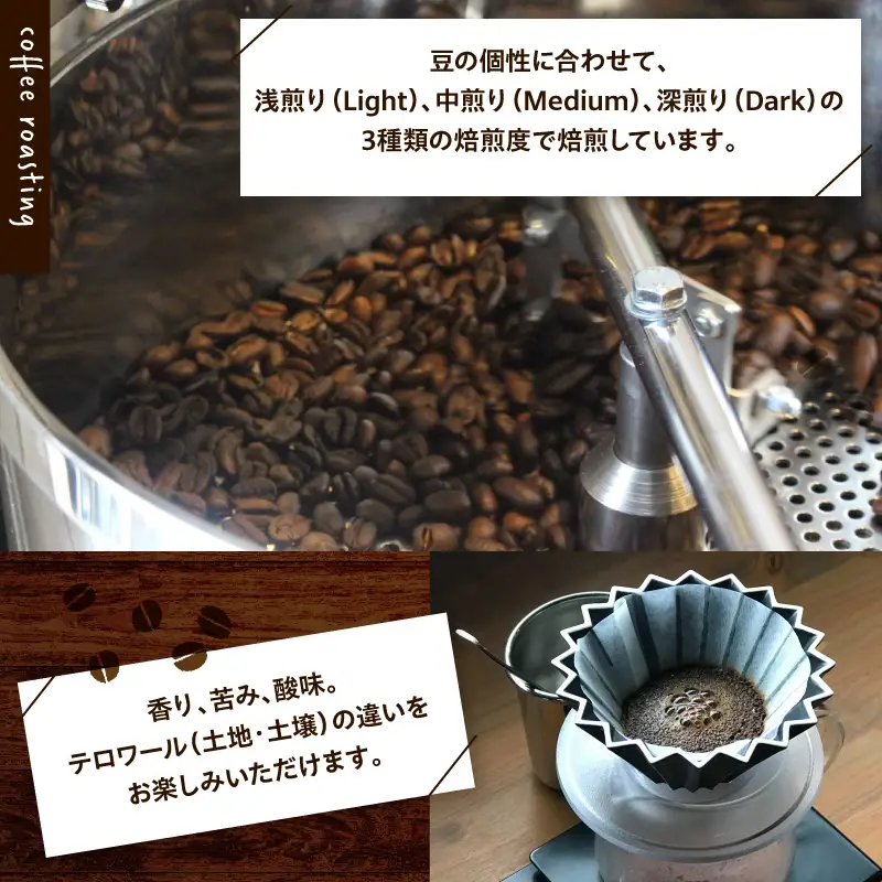 【豆】787 Nanohana Coffee Roaster　4種お任せセット　各50g