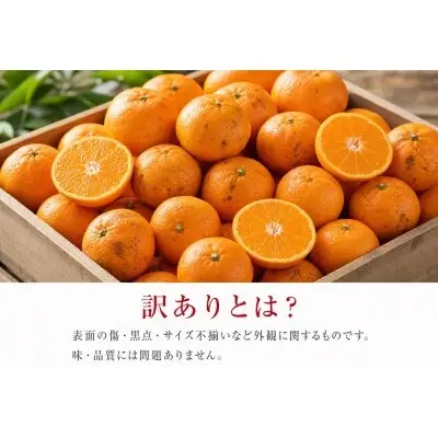 和歌山 有田 みかん 10kg 訳あり ご家庭用 2S〜2Lサイズ混合 / 有田みかん 甘い 柑橘  和歌山 ※2026年11月下旬頃〜12月下旬頃に順次発送予定 【uot004-c-10】