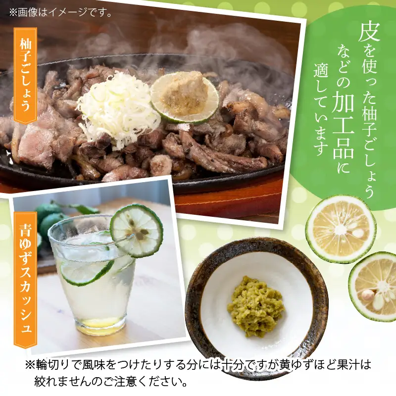 訳あり 青ゆず生果実　どっさり10kg _MM0108