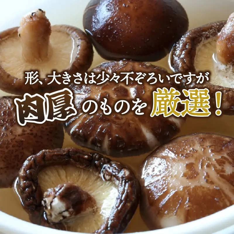 お好きな分だけ取出せる肉厚どんこ缶（詰め替え用）1袋180g_1389R-2