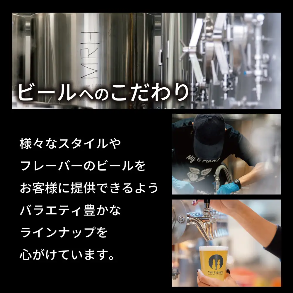 TWO RABBITS BREWING クラフトビール＜キウイ IPA×12本セット＞【DN08W】