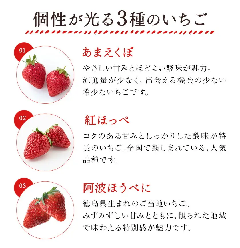 いちご 苺 贈答 ギフト ボックス 2パック 約500g 