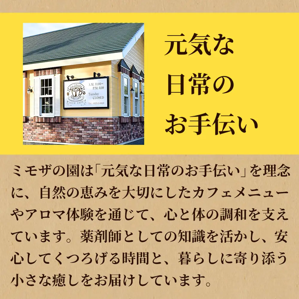 【定期便：全10回】自家製コーヒー豆 ドリップバック3個入×3セット【A20014】