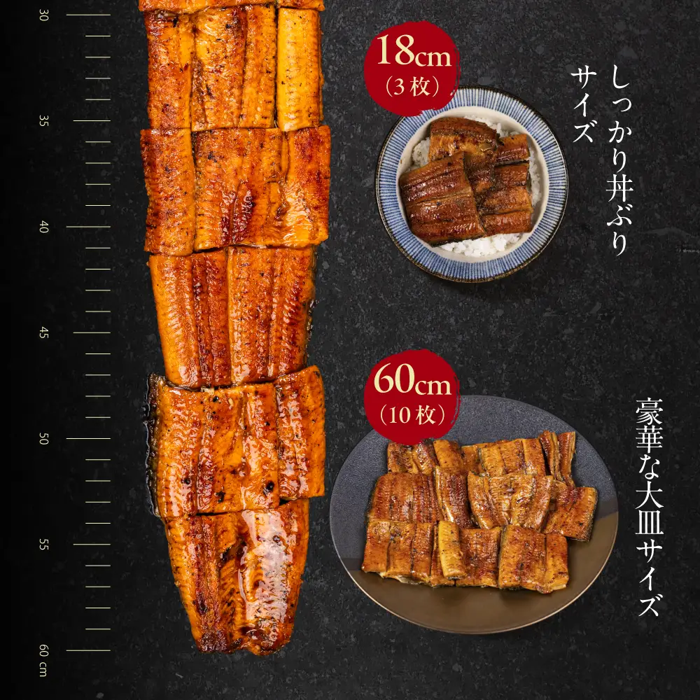 【うなぎ蒲焼　30cm（6cm×5枚）】今、うなぎはセンチで選ぶ！ 長さ選べる 国産 うなぎ蒲焼 カット鰻 うなぎ ウナギ unagi カット済 うな重 冷凍 うな丼 ストック 蒲焼 タレ付 選べる 簡単 簡単調理 訳あり 規格外 人気 三河  愛知県 豊橋市