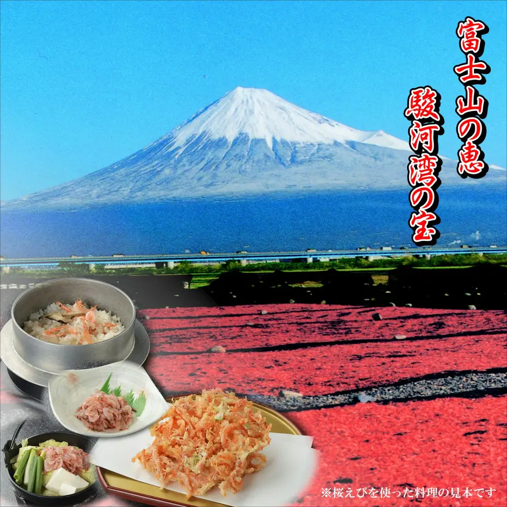 静岡の海鮮・海産物(魚介類)　駿河湾の海の幸　 天日干し桜えび×4　セット