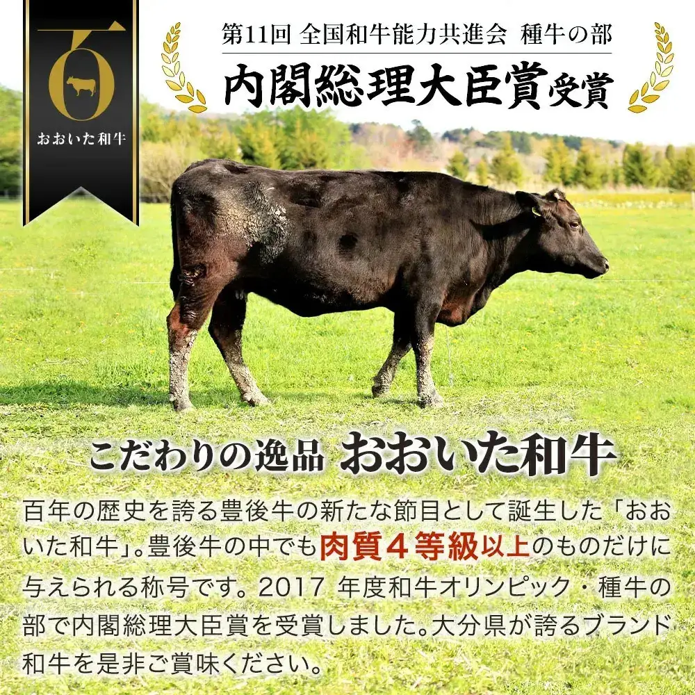 おおいた和牛サーロインステーキ (200g×3枚) | サーロイン 豊後高田市