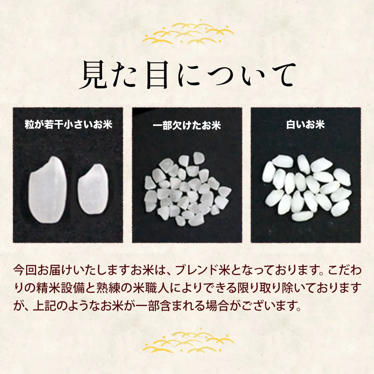【18ヶ月定期便】熊本県産 くまもとあっぱれ米 ブレンド米 5kg 無洗米《お申込み翌月から出荷》