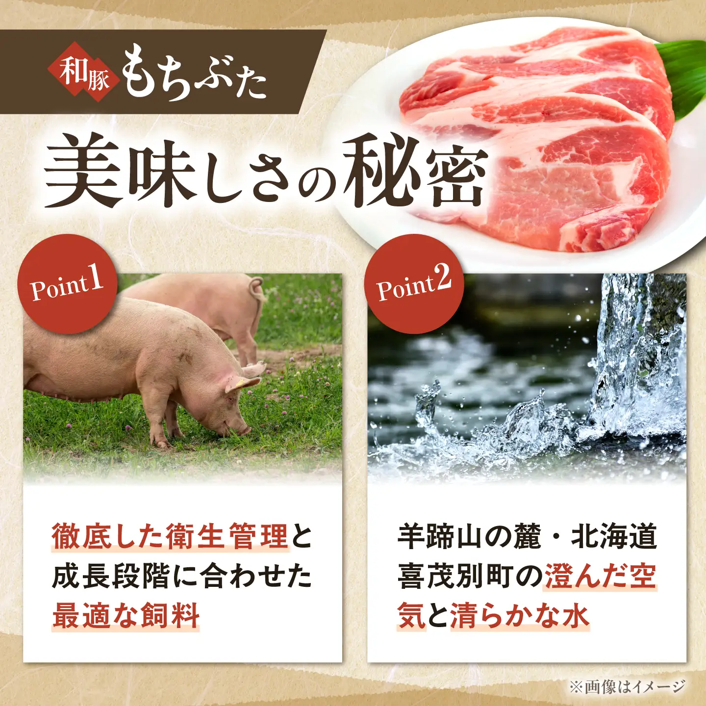 和豚もちぶた しゃぶしゃぶセット 計1kg（500g×2種） [AJAX002] しゃぶしゃぶ 北海道