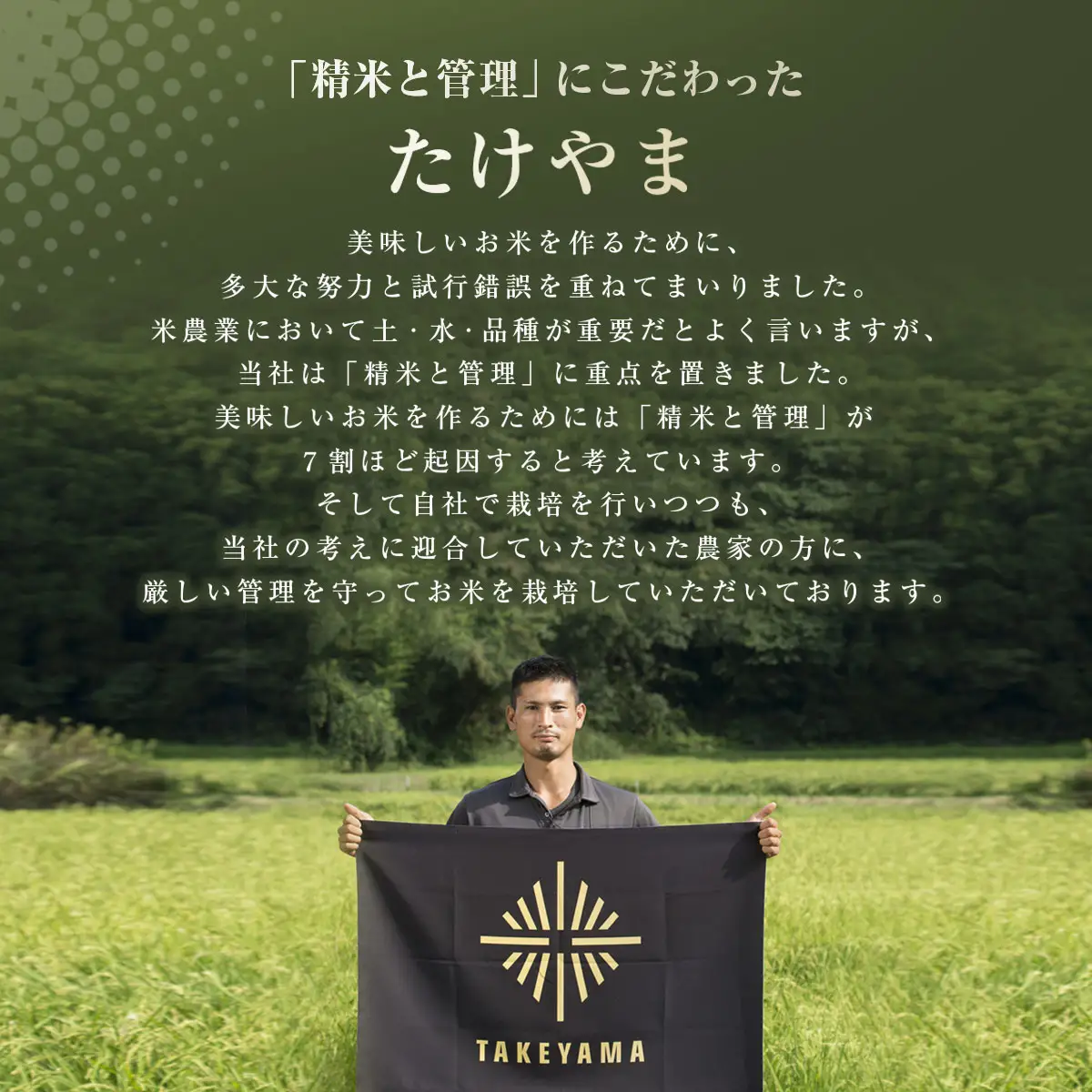 【先行予約 9月上旬から発送】＜令和8年産＞房の黄金米「ふさこがね」10kg   SMBR047