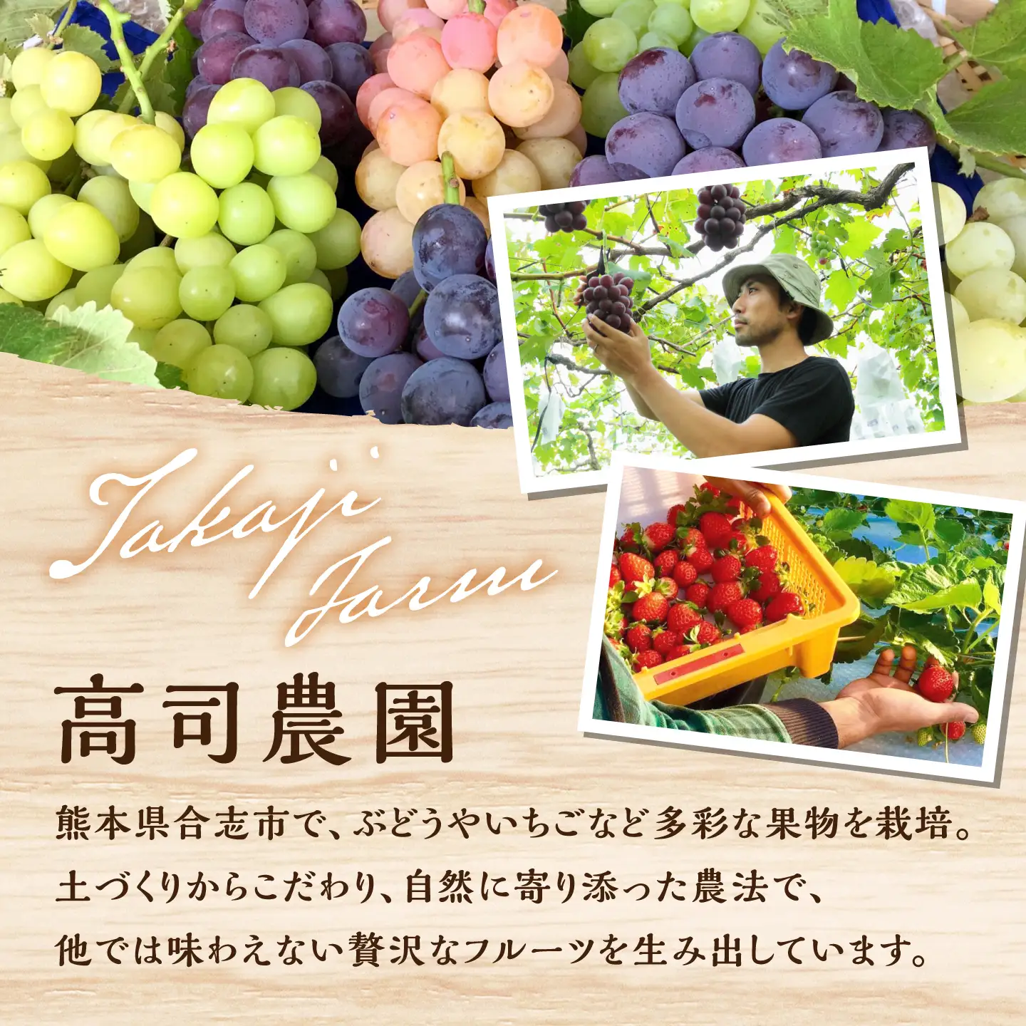 【先行予約】【2027年1月下旬発送開始】りんたろういちご 24個(500g程度) / 苺 ストロベリー フルーツ 果物 くだもの 青果【有限会社 高司農園】[AYDO002]
