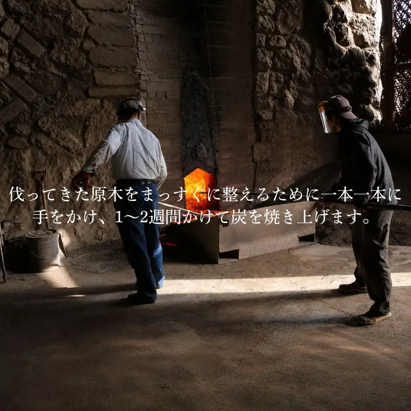 紀州備長炭 バーベキュー用 15kg/ 備長炭 和歌山 田辺市【ask005】 