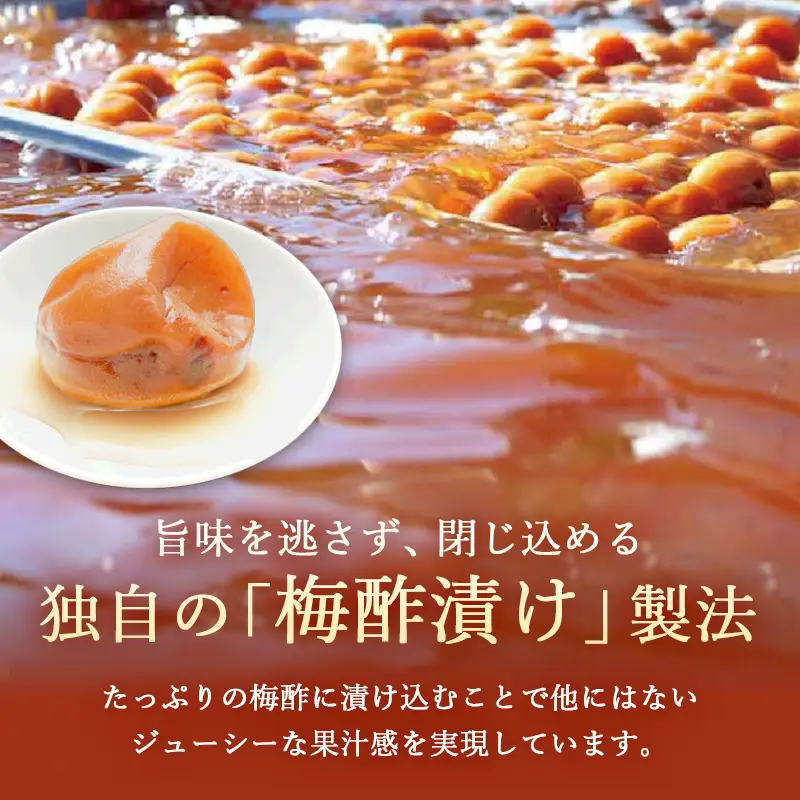 【定期便3ヶ月】 寿の梅干し 250g×3回 うめぼし
