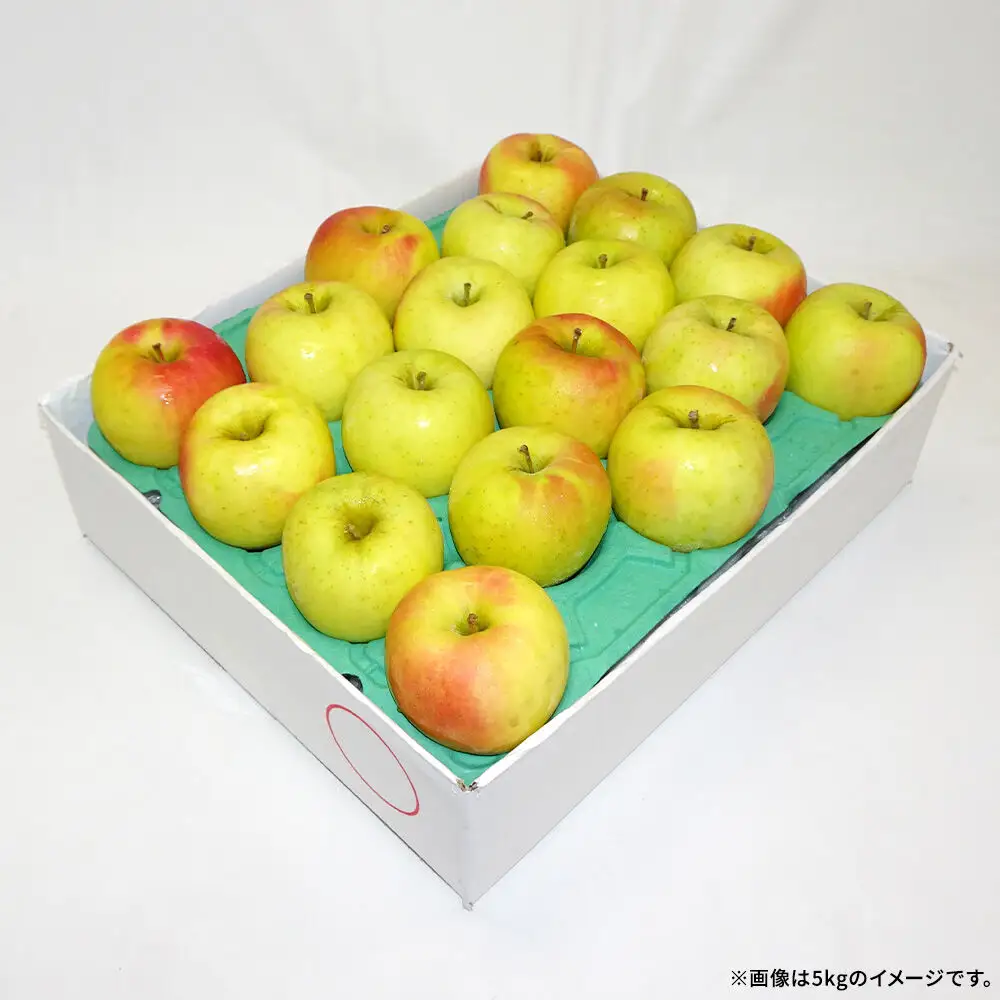 【26年12月発送】りんご 名月【良品】約10kg キタエアップル 青森県 弘前市