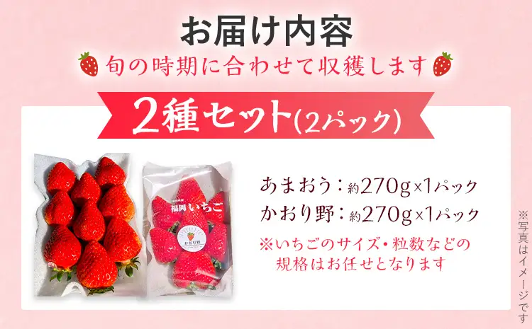 いちご   福岡いちご2種食べ比べセット あまおう かおり野  【2027年2月より順次発送】 いちご  