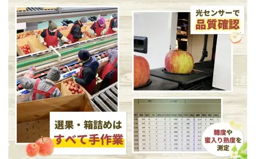 [訳あり] りんご サンふじ 10kg (28玉から40玉入り 10kg 1箱) 見た目にわけあり 味はそのまま [1012]