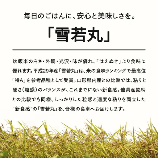 【先行予約】＜新米＞ 雪若丸 精米 15kg 11月中旬~11月下旬発送 国産 お米 山形県産 山形産  おすすめ 令和8年産 2026年産 沖縄・離島への配送不可 コメ こめ はくまい 白米 tf-ywsxb15-11s