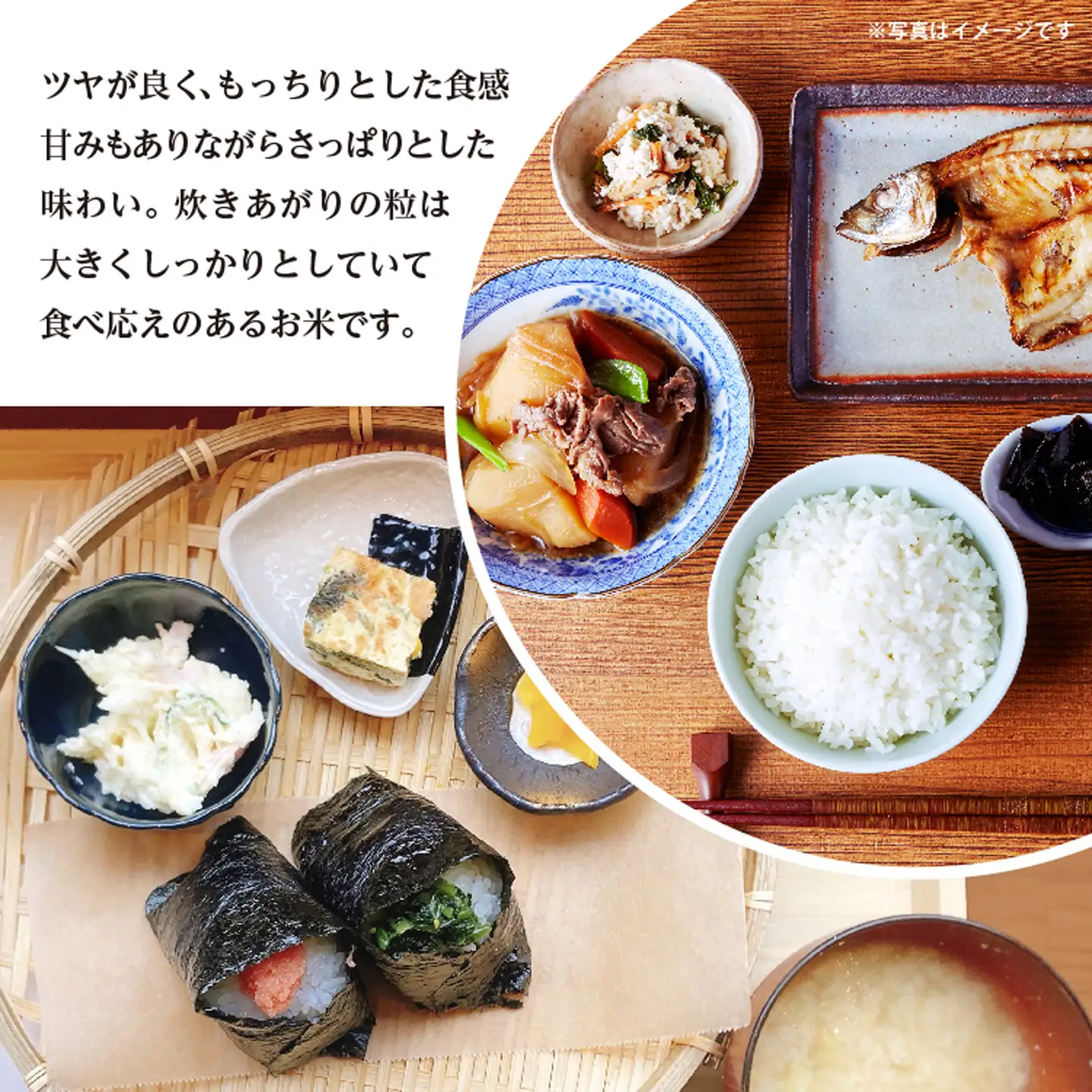 【新米予約】令和8年産 はがくれ農園のさがびより 玄米 10kg（5kg×2袋）米 お米 _c-151