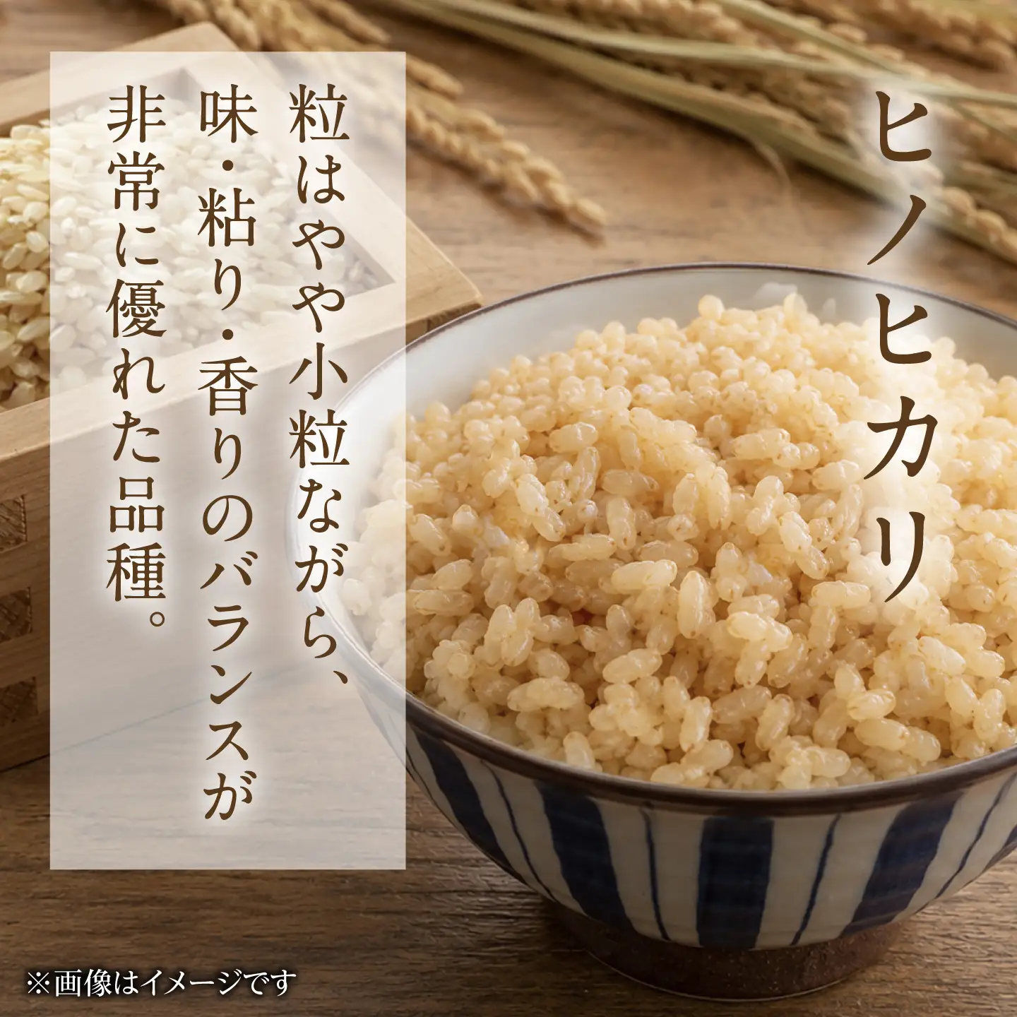 【山鹿市産米使用】 山鹿市産 ヒノヒカリ 玄米 レトルト パックご飯 山鹿の舞 150g×20個 【株式会社 岩下農園】[ZFS011]