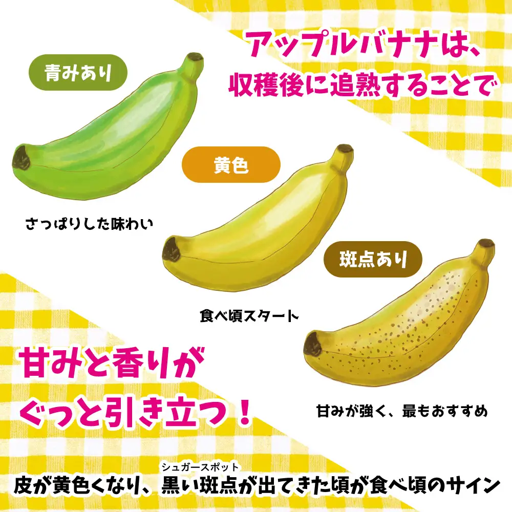 道の駅「許田」が厳選した南国フルーツ アップルバナナ 約2kg 2027年発送 バナナ 2kg やんばる 南国フルーツ トロピカル 国産 グルメ 濃厚 もっちり 完熟 新鮮 産地直送 お取り寄せ 道の駅 許田 特産品 旬のフルーツ 朝食 ギフト