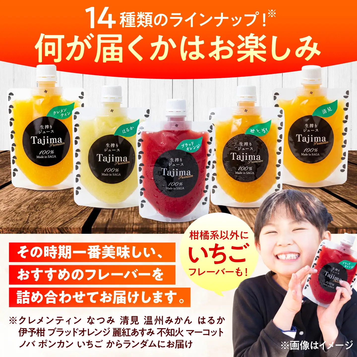 冷凍ジュース10種飲み比べ / みかん いちご 苺 ジュース 果汁100% / 佐賀県 / 合同会社田島柑橘園＆加工所[41ATAD001]
