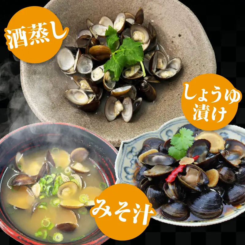 矢作　出世しじみ（レトルトパック130g×10P）・M145-145