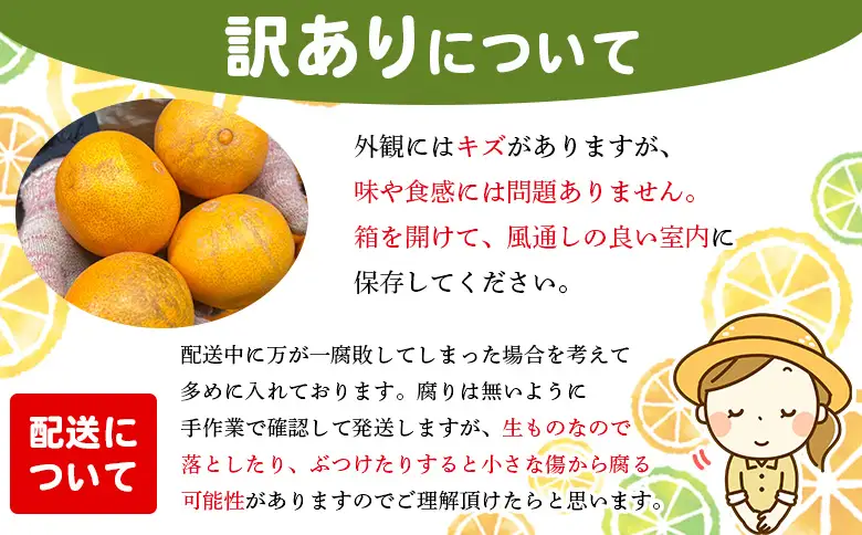 紅まどんなと同品種！＜木下さんちのまどんな 訳あり 約2.5kg＞『2026年12月に順次出荷』愛媛果試第28号 柑橘類 みかん ミカン 果物 くだもの フルーツ 不揃い 自宅用 愛媛果試第28号 特産品 産地直送 マドンナ 木下農園 西宇和 愛媛県 西予市【常温】MKS0021