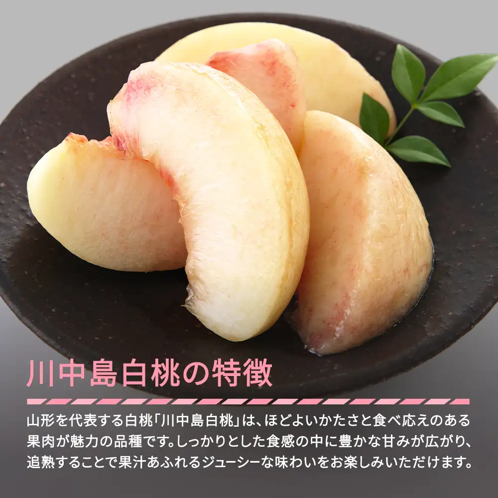 先行予約 川中島白桃 特選品 約3kg 令和8年産 tf-moknx3000