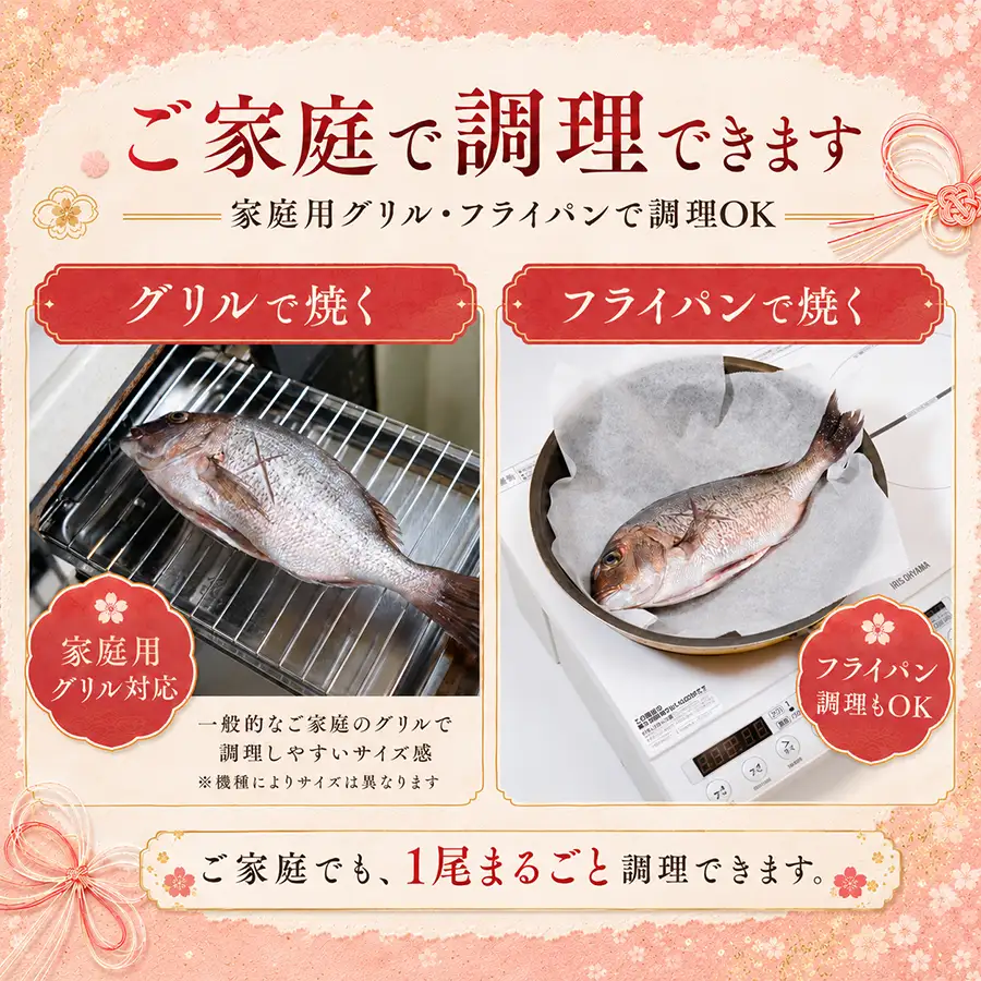 お食い初め 真鯛 3尾 三つ子 1.5kg以上 尾頭付き 鯛 のみ 3匹 真空パック 祝い鯛 百日祝い 100日祝い 鯛の塩焼き お食初め 自宅 お食い初め料理 初節句 100日お祝い膳 祝い善 節句 記念撮影 赤ちゃん ベビー  魚 高知県 柏島産 大月町