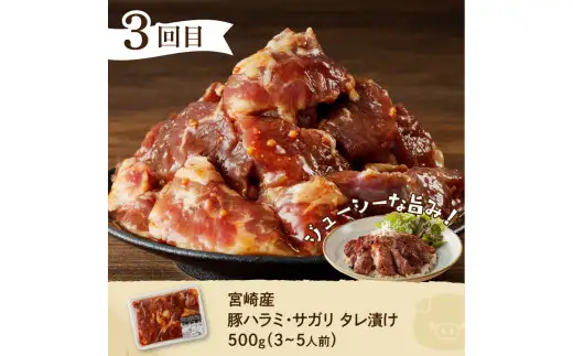 おうちで簡単時短おかず6回定期便 レンチン 焼くだけ 簡単調理 ストック ブランドポーク 豚ロース みそ漬け 生姜焼き 豚ハラミ 豚サガリ 豚ホルモン チキン南蛮 鶏モモ 炭火焼 弁当 宮崎県 延岡市 N061-YZD052