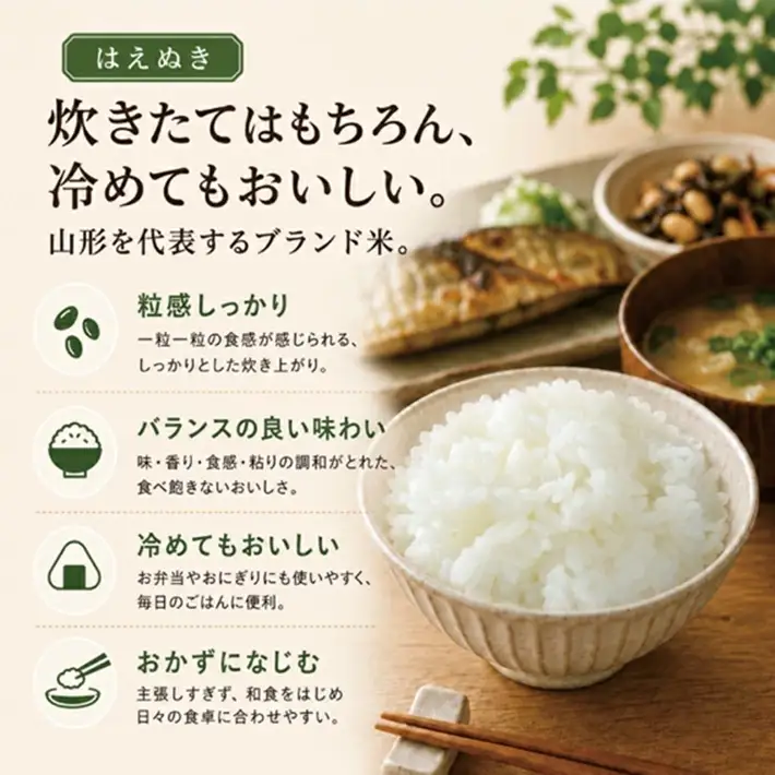 SF0375　【令和8年産 新米予約】≪6回定期便≫ 【精米】はえぬき　5kg×6回(計30kg)　「農家直送」 IN