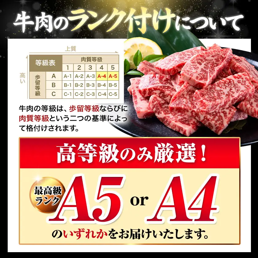 くまもと黒毛和牛 上 ロース 焼肉 切り落とし 300g《7-14日以内に出荷予定(土日祝除く)》