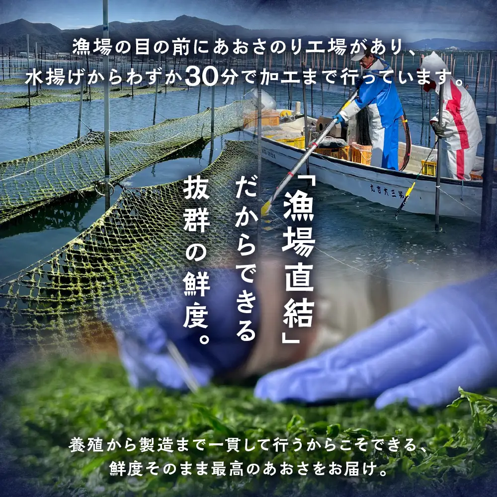 朝採り！冷凍 生あおさ のり 400g のり