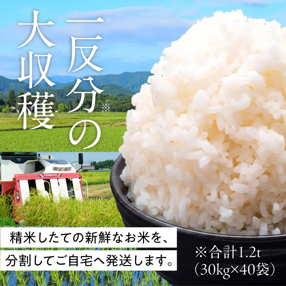 田んぼ一反分の米＆田んぼ見学宿泊券＆貸し切りタクシー券 株式会社TKS 滋賀県 東近江市 CCC-D01 クレフィール湖東 米 30kg 40袋 宿泊券 ペア 観光 タクシー 貸切 滋賀 一反