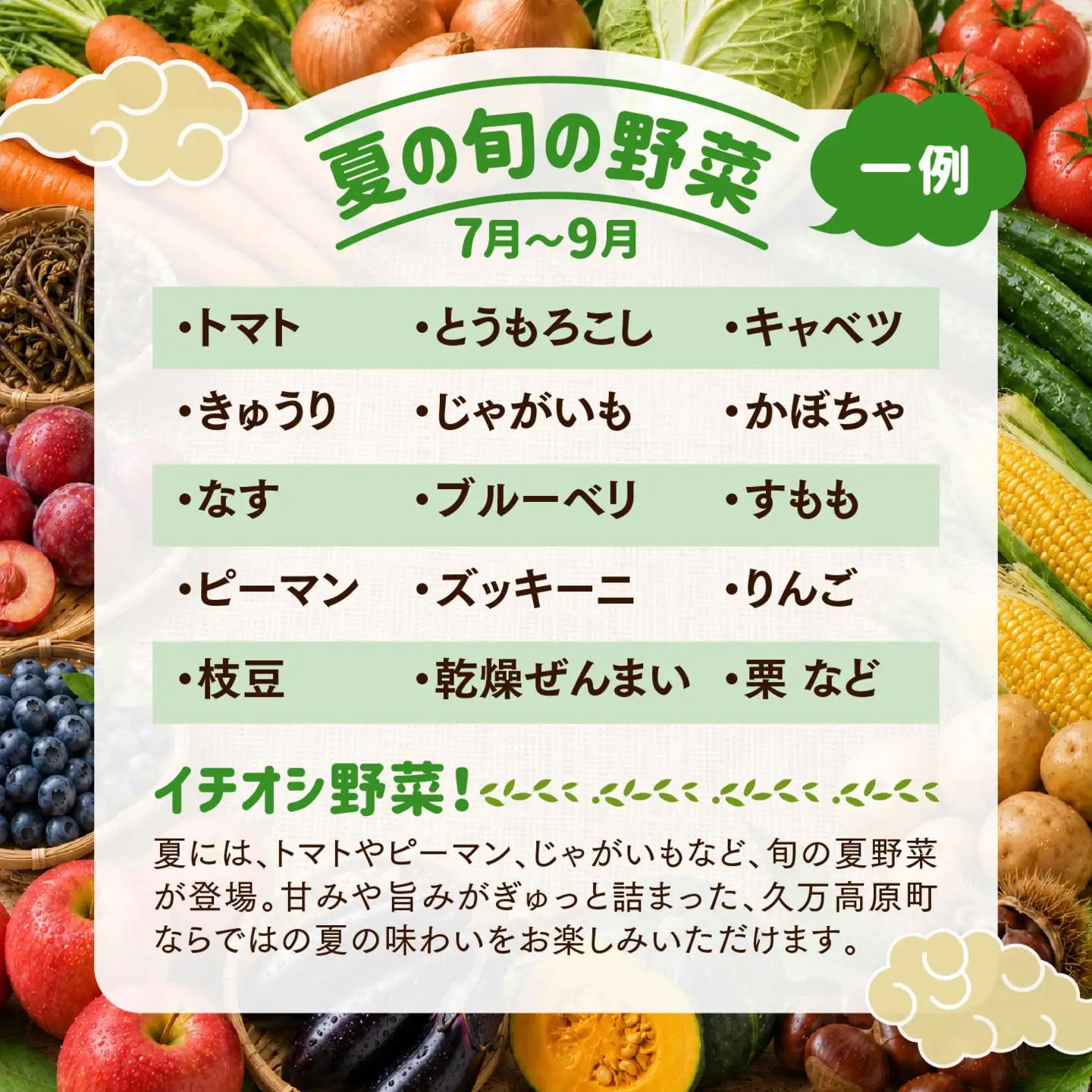 【定期便3回】久万高原 天空の旬野菜便2kg【道の駅みかわ厳選】 | 野菜詰め合わせ 5～6品目 新鮮野菜 定期便 愛媛県産 産地直送