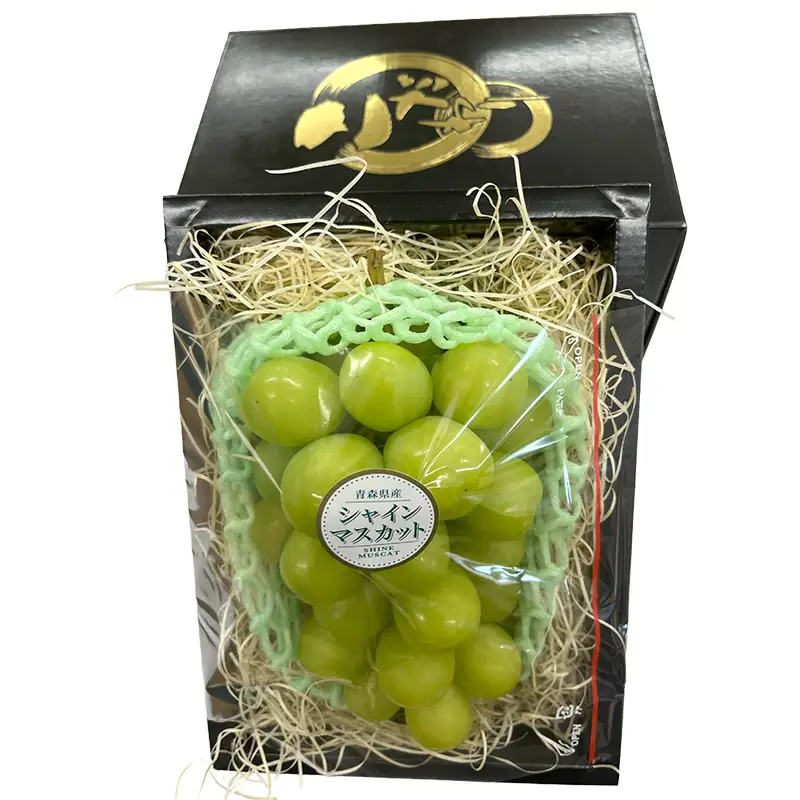 【先行予約】 シャインマスカット 1房 約600g 《木村隆志 作》 藤崎町産 化粧箱入り ぶどう 葡萄 フルーツ 厳選 大粒 高糖度 国産 産地直送 数量限定 F41-0156