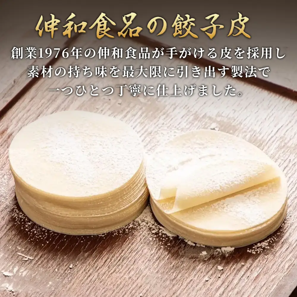 【当店人気No.1】にんにく餃子(18個入り×5P) 1セット 冷凍餃子 餃子：B170-042