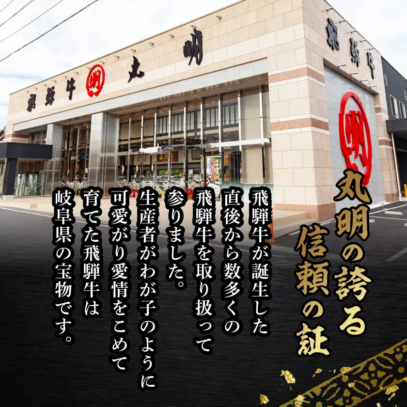【毎月定期便】【訳あり】飛騨牛5等級　切り落とし用途いろいろ　500g全3回【配送不可地域：離島】【4088467】