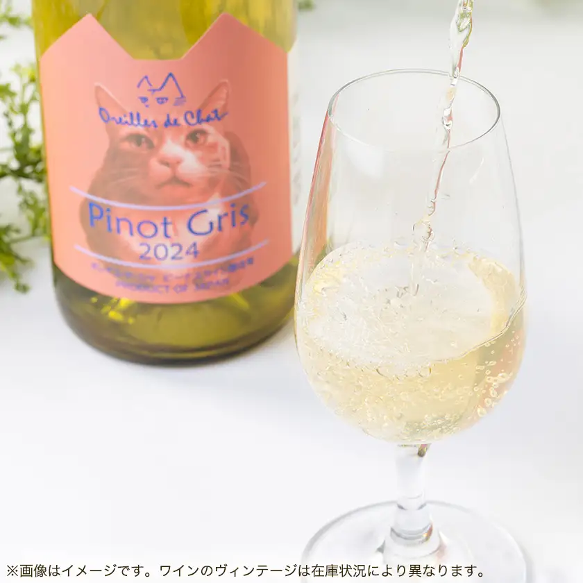 タナ(赤)＆ピノグリ(白)2本セット【配送不可地域：離島】【1753232】