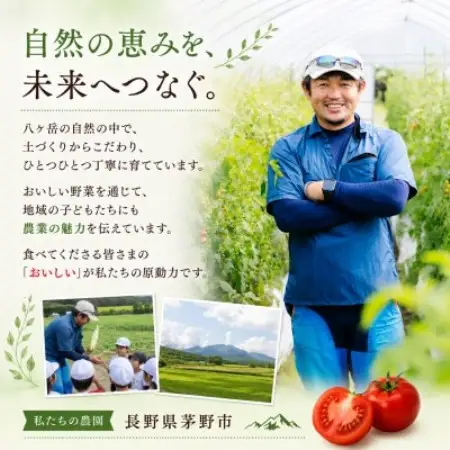 【毎月定期便】蓼科野菜　八ヶ岳産高原育ちのフルーツミニトマト 約2kg 全2回【配送不可地域：離島】【4088598】